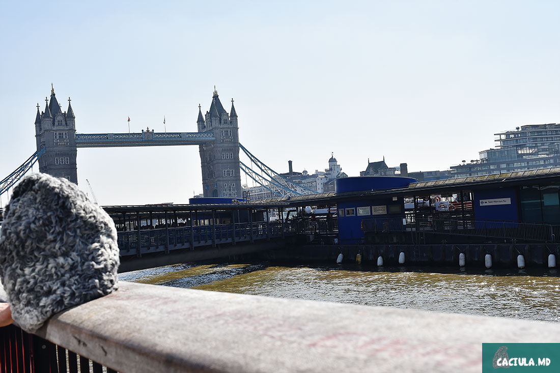 Caciula in London, Caciula in Great Britain, UK, caciula в Лондоне, Великобритания, достопримечательности Лондона, дождливый и туманный город, Пикадилли (Picadilly), Карнаби (Carnaby) и столетние пабы, в столицу Англии Caciula, небоскребы Лондон Сити, колесо обозрения London Eye, Тауэрский мост (Tower Bridge), Лондонский Мост (London Bridge), цветущие королевские парки, река Темза, бескрайние бесплатные музеи, Caciula нашла в Кэмден Таун, дешевая еда в Лондоне, Обычный ужин в местном кафе Caciula, самообслуживания Barclays Cycle Hire, лондонские велосипеды, прокат велосипедов в Лондоне, старая добрая Англия, преимущество карты Oyster Card, бутылка воды– 4 фунта, пиво – около 6 фунтов, единый проездной билет Oyster Card, британцы были и остаются консерваторами