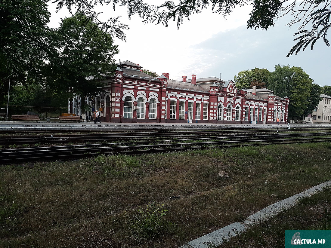 Наславча, поход в наславчу, молдова, поход по молдове, река днестр, окница, север молдовы, палатки в наславче, из окницы в наславчу пешком