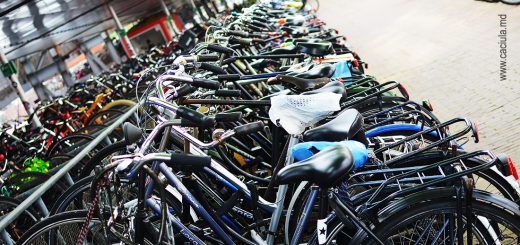 велосипеды Амстердама