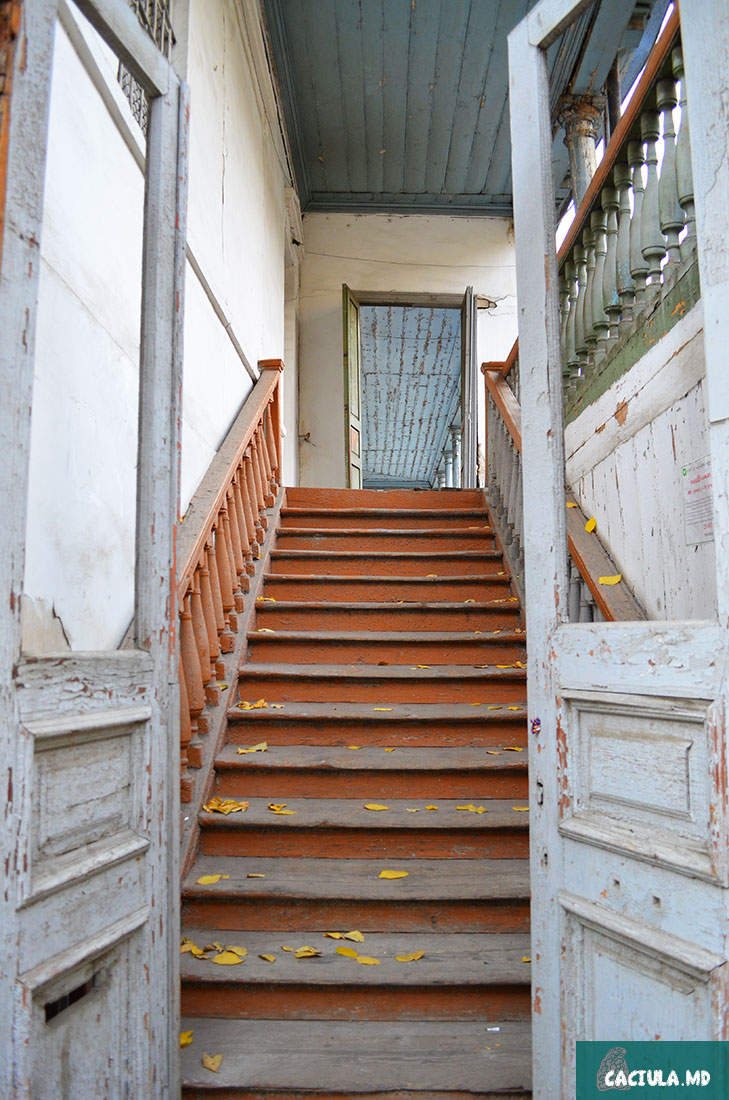 лестницы и дворики Тбилиси